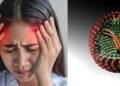 Virus der Borna'schen Krankheit: Ursachen, Symptome und Behandlung im Überblick