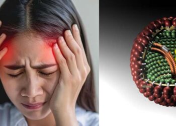 Virus der Borna'schen Krankheit: Ursachen, Symptome und Behandlung im Überblick