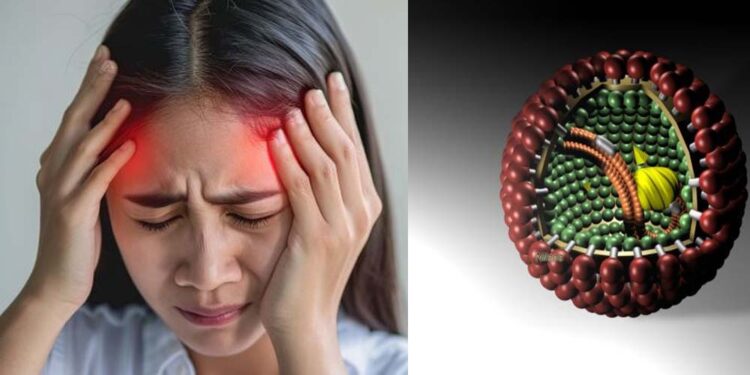 Virus der Borna'schen Krankheit: Ursachen, Symptome und Behandlung im Überblick