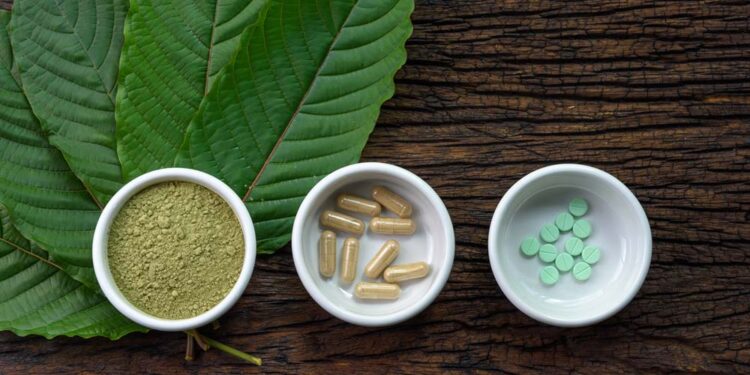 Sicherheit von Kratom: Evidenz, Mythen und die aktuelle Studienlage im Überblick